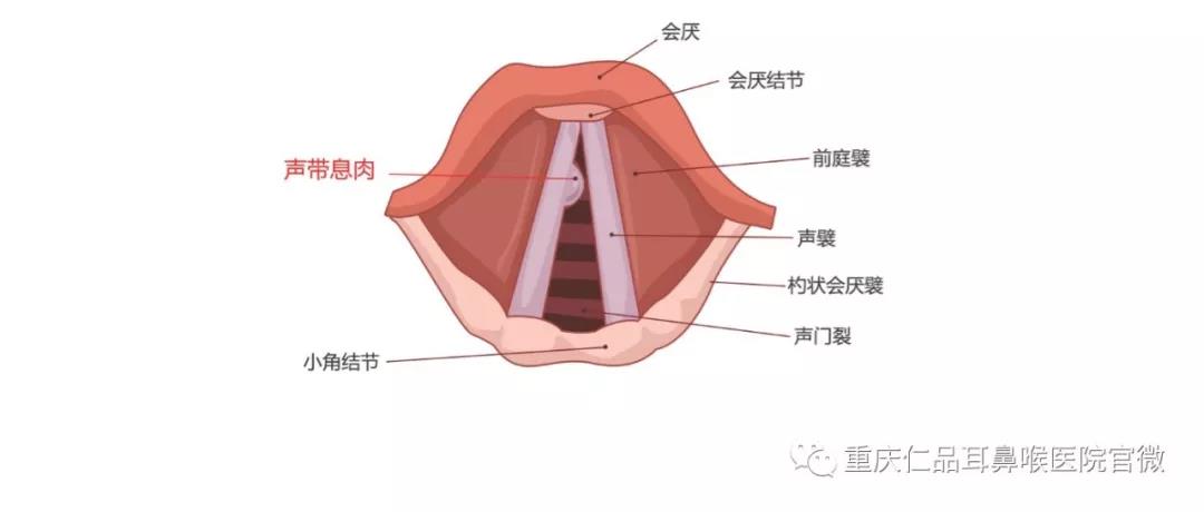 重庆仁品耳鼻喉医院