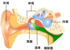 中耳炎有哪些常见症状