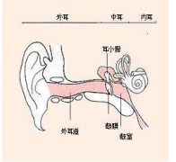 重庆耳鼻喉医院_外耳道炎的预防措施