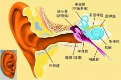 重庆耳鼻喉医院_慢性化脓性中耳炎的病因