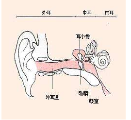 重庆仁品耳鼻喉医院