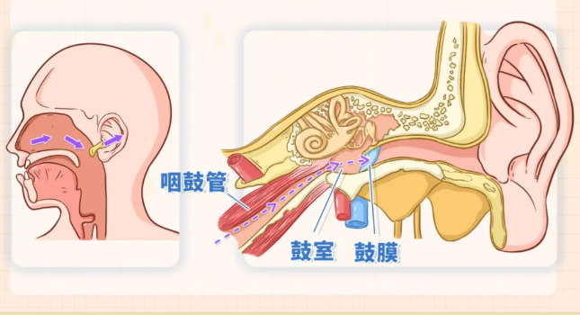 重庆耳鼻喉医院