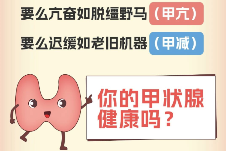 甲亢VS甲减，常被误认为“压力大”“亚健康”，背后却藏着“致命差”